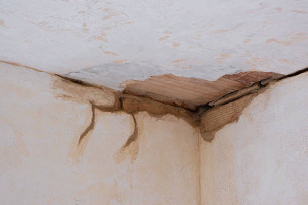 Best Emergency water extraction  in Meron Park, CA