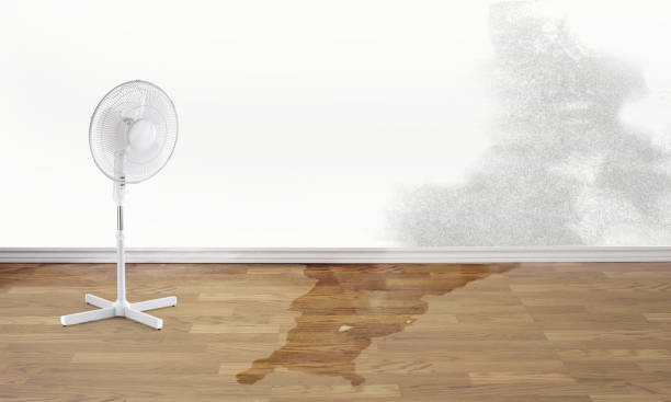 Local water damage restoration in Cameron Park, CA