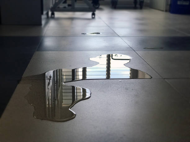 Best Water damage restoration company  in Meron Park, CA