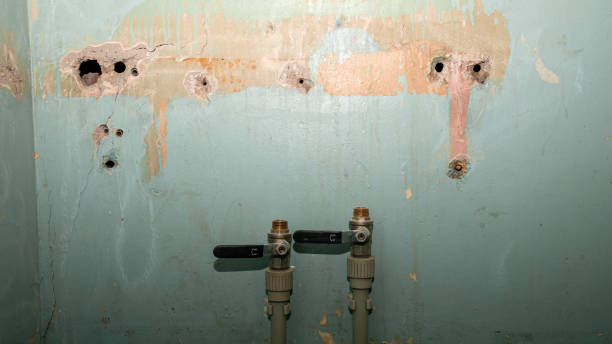 Best Water damage restoration near me  in Meron Park, CA
